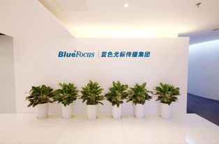 三件事 蓝标投资界面 腾讯和bi的版权白谈了