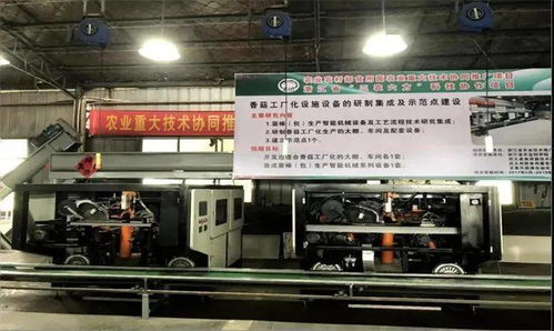 科技引领，协同创新 香菇工厂化生产开启共同富裕新篇章